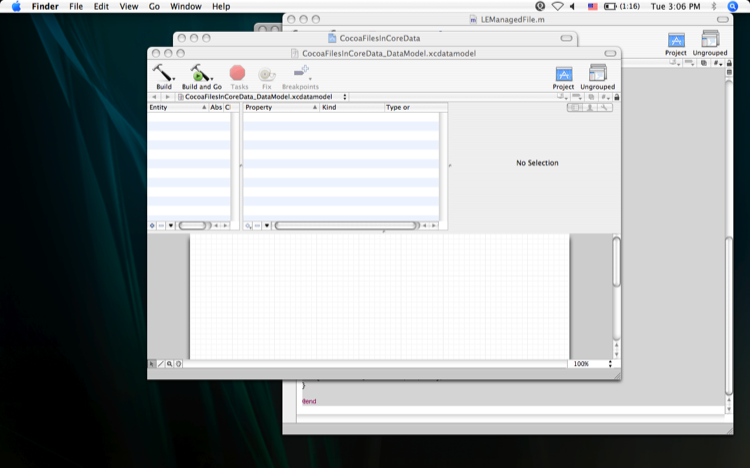 Image of the entity in CoreData management GUI.