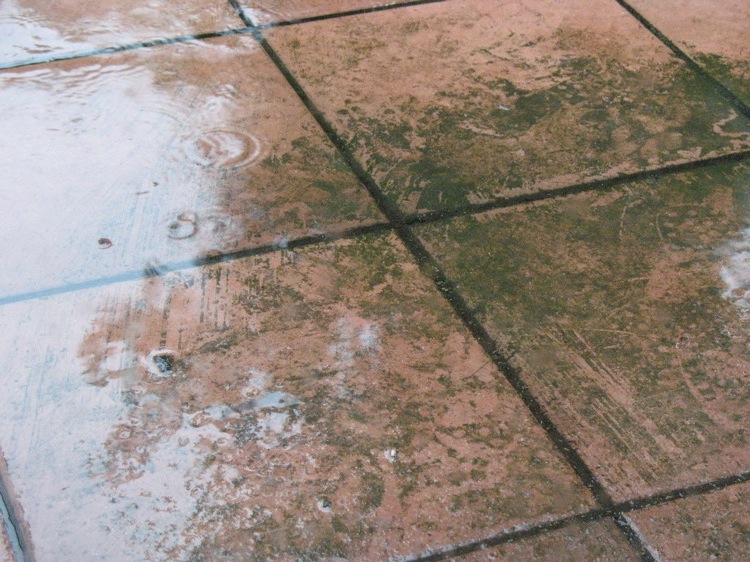 A picture of muddy tiles with a thin layer of water on top.