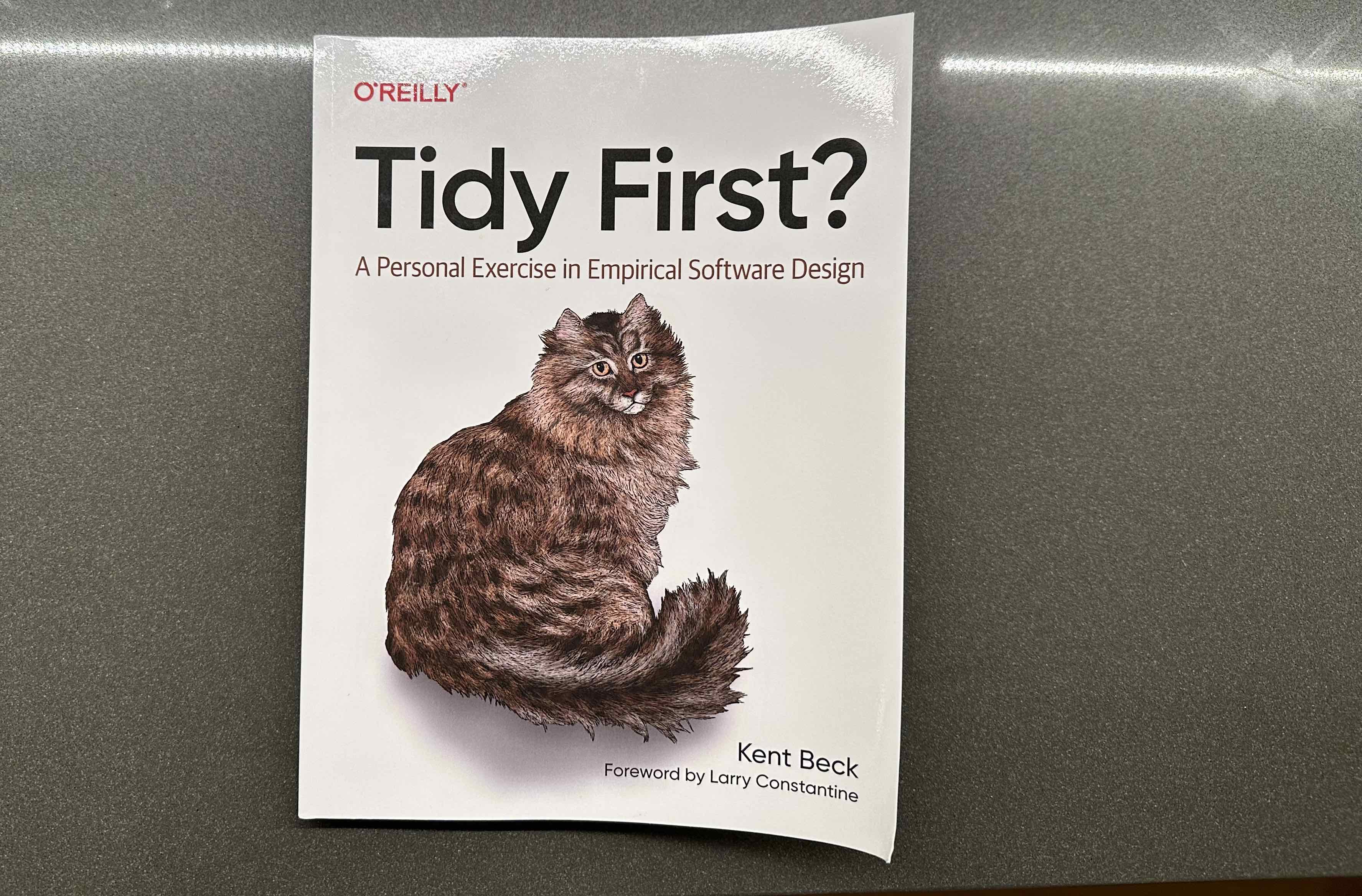 Tidy First? by Kent Beck captures the spirit of Ousterhout’s A Philosophy of Software Design while also recognizing the inherent tensions of dev
