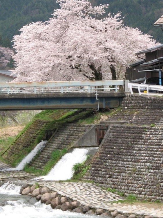 A bridge over a river.