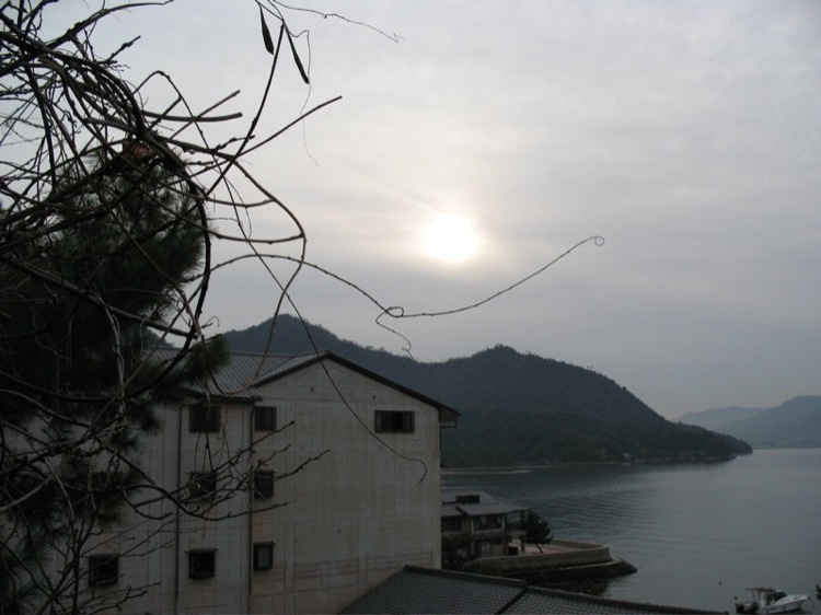 A pretty branch overlooking the ocean