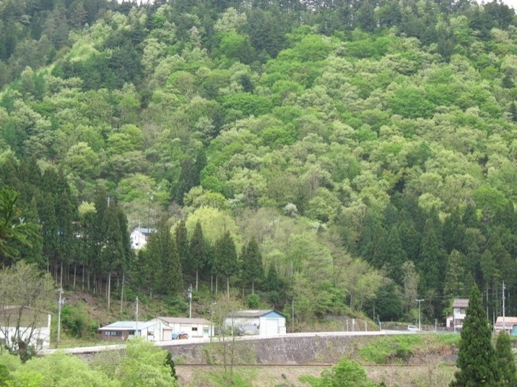 A picture of a road running beside a mountain.