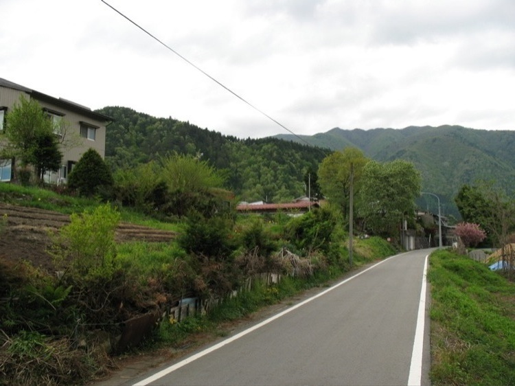 A small road surrounded by greenery.