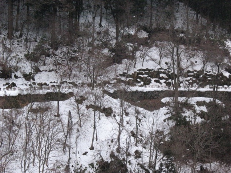 An outdoors walkway covered in snow.